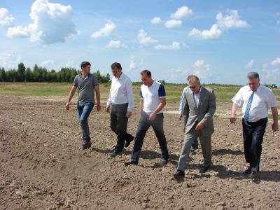 Картофельно-овощной кластер создаётся в Рязанском регионе